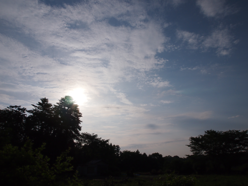 金環日食の写真 - 2012年5月21日:画像2