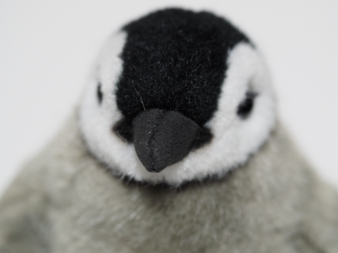 ケーセン社（KOSEN）皇帝ペンギン ミニ のレビュー:画像7