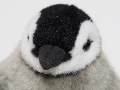 ケーセン社（KOSEN）皇帝ペンギン ミニ のレビュー:画像11