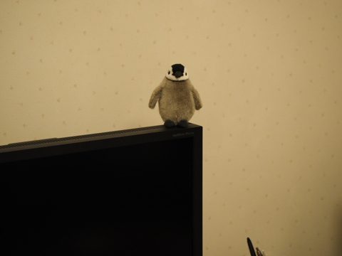 ケーセン社（KOSEN）皇帝ペンギン ミニ のレビュー:画像12