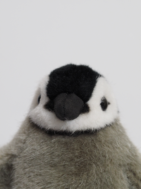 ケーセン社（KOSEN）皇帝ペンギン ミニ のレビュー:画像13