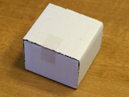 LUPICIA 白磁 茶壺 のレビュー:画像2