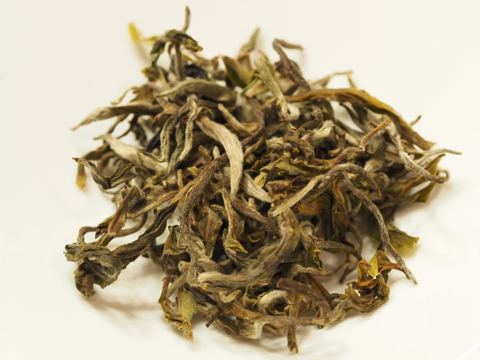 紅茶専門店 京都セレクトショップ 皇帝の春摘みダージリン (ダージリン・ファーストフラッシュ マーガレッツホープ茶園) のレビュー:画像3