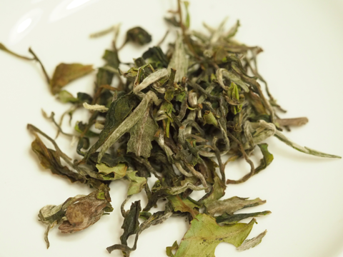 紅茶専門店 京都セレクトショップ 幻！スプリング・ブロッサム (花) (シンゲル茶園 EX-8 SPRING BLOSSOM) のレビュー:画像3