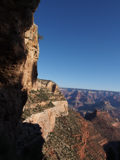 Bright Angel Lodge と Bright Angel Trail の体験記と写真:画像10