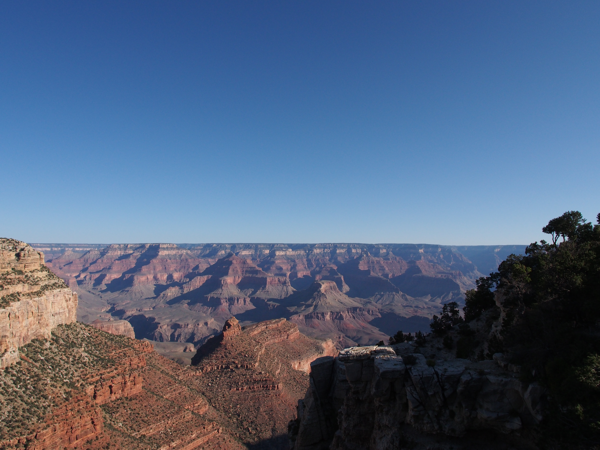 Bright Angel Lodge と Bright Angel Trail の体験記と写真:画像14