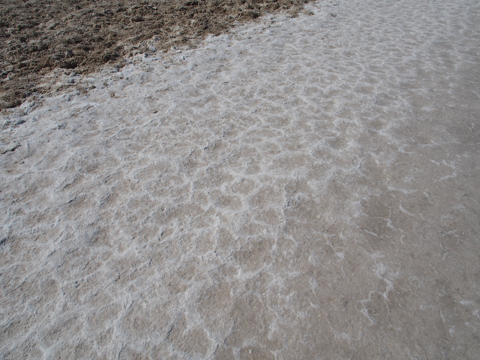 バッド ウォーター (Bad Water) の体験記と写真:画像15