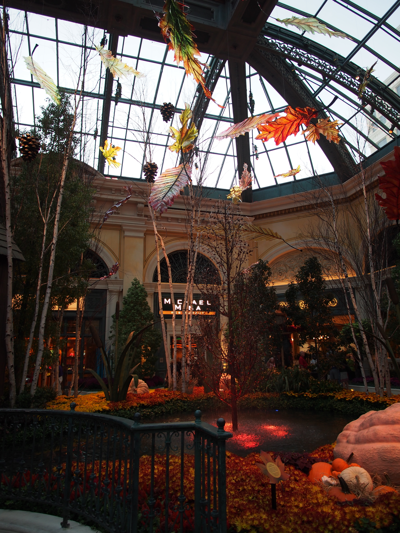 ベラージオ (Bellagio Las Vegas) の体験記と写真:画像40