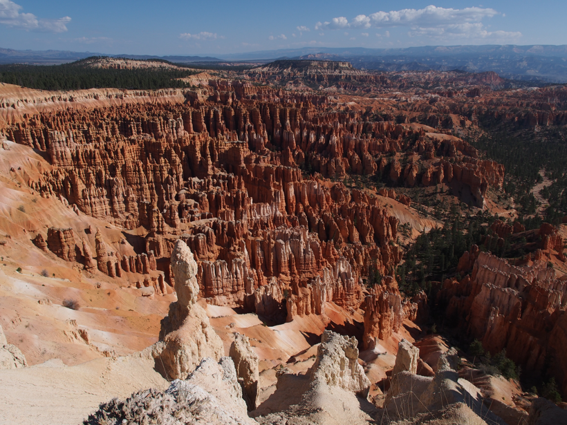 インスピレーションポイント (Inspiration Point) の体験記と写真:画像14