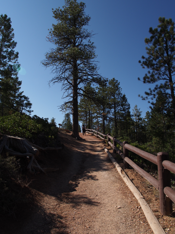 インスピレーションポイント (Inspiration Point) の体験記と写真:画像5