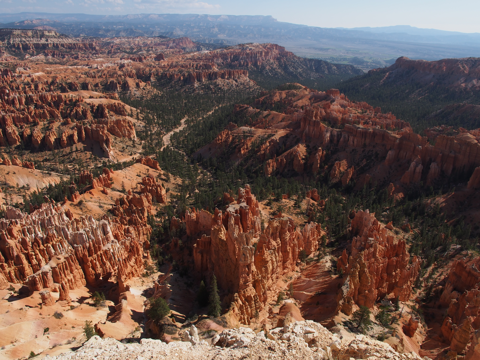 インスピレーションポイント (Inspiration Point) の体験記と写真:画像11