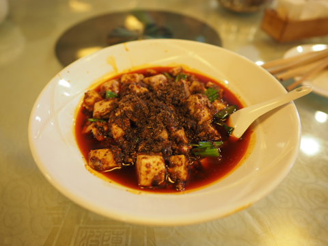 陳麻婆豆腐 (川菜館) の体験記と写真 [中国・成都]:画像19