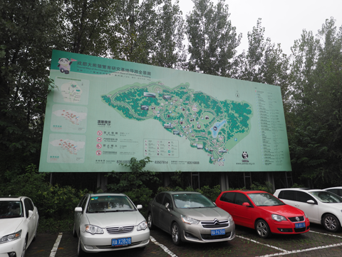成都パンダ繁育研究基地 (成都大熊猫繁育研究基地):画像2