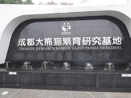 成都パンダ繁育研究基地 (成都大熊猫繁育研究基地):画像5