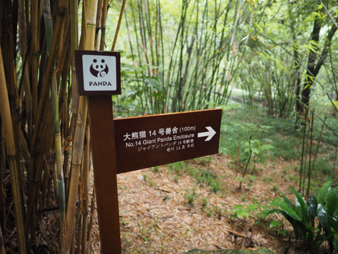 成都パンダ繁育研究基地 (成都大熊猫繁育研究基地):画像15