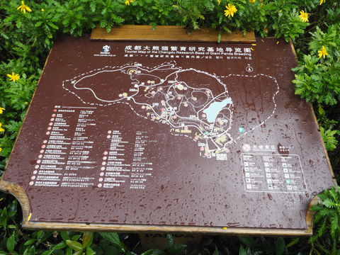 成都パンダ繁育研究基地 (成都大熊猫繁育研究基地):画像29