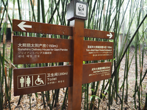 成都パンダ繁育研究基地 (成都大熊猫繁育研究基地):画像44