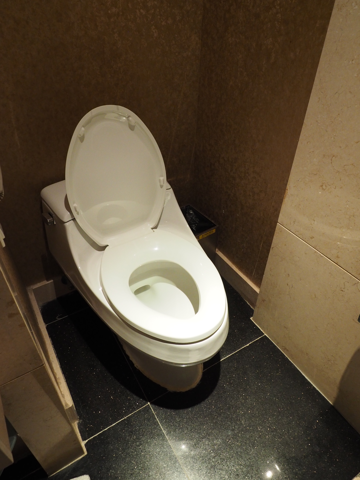 敦煌陽光沙州大酒店 の体験記と写真:画像24