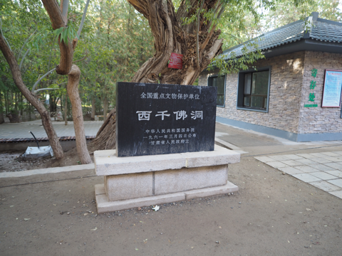 西千仏洞 の体験記と写真 [中国・敦煌]:画像11