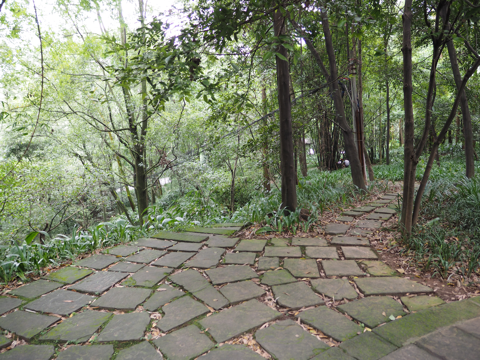 峨眉山報国寺 の体験記と写真:画像13