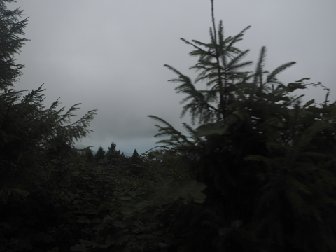 峨眉山 金頂 の体験記と写真:画像23