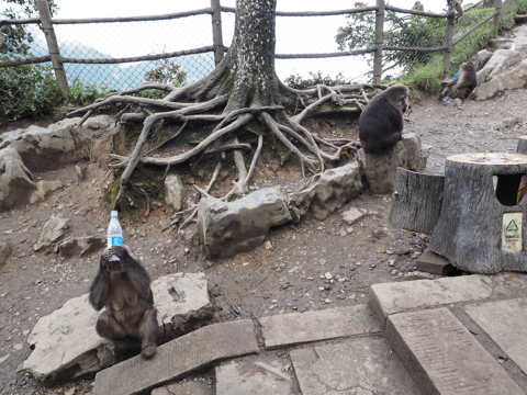 峨眉山 金頂 の体験記と写真:画像34