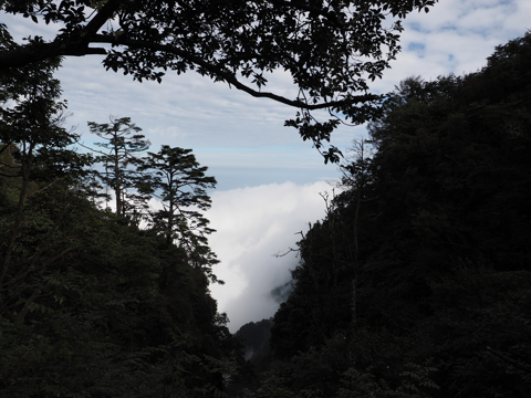 峨眉山 金頂 の体験記と写真:画像36