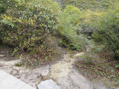 黄龍 (黄龍風景区) の体験記と写真:画像42
