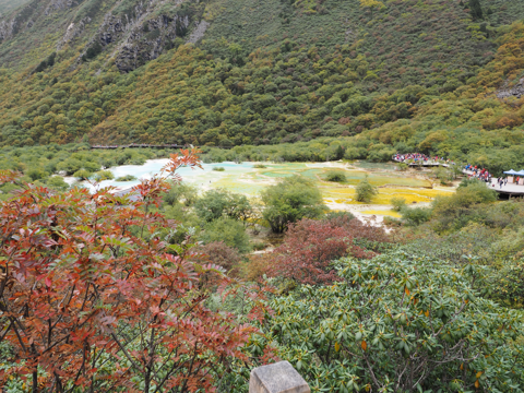 黄龍 (黄龍風景区) の体験記と写真:画像51