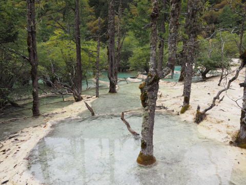 黄龍 (黄龍風景区) の体験記と写真:画像61