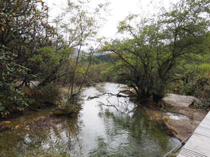 黄龍 (黄龍風景区) の体験記と写真:画像64