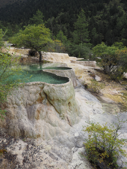 黄龍 (黄龍風景区) の体験記と写真:画像66