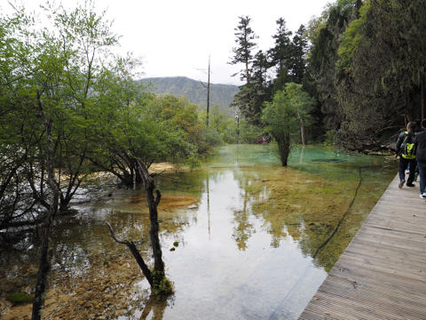 黄龍 (黄龍風景区) の体験記と写真:画像67