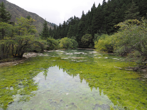 黄龍 (黄龍風景区) の体験記と写真:画像81