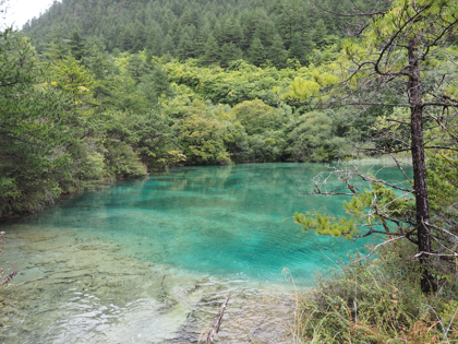 九寨溝の体験記と写真:画像136