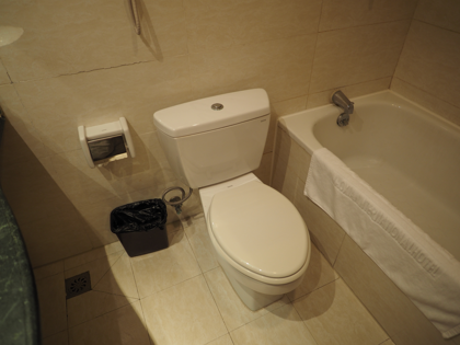 茂県国際飯店 (茂縣國際飯店/Maoxian International Hotel) の体験記と写真:画像21