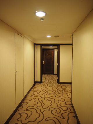 シェラトン成都麗都ホテル (天府麗都喜来登飯店) の体験記と写真:画像7