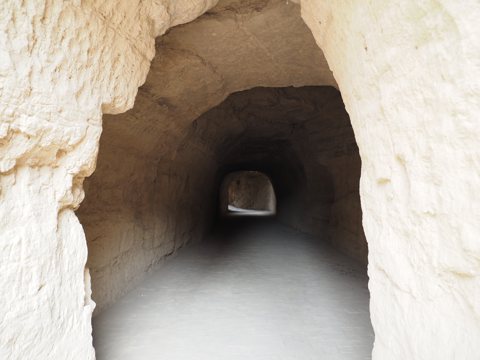 交河故城 の体験記と写真:画像61