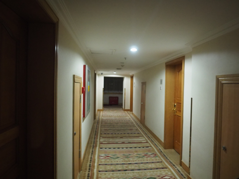 吐魯番吐哈石油大厦 (Xinjiang Tu Ha Petroleum Hotel) の体験記と写真:画像14