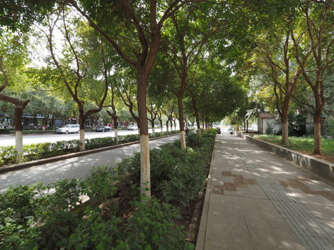 青年路 (トルファン市内) の体験記と写真:画像2
