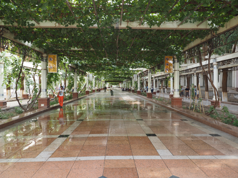 青年路 (トルファン市内) の体験記と写真:画像20