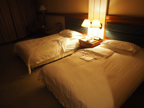 新疆信達海徳酒店 (新疆海徳酒店) (Hot Tak Hotel Xinjiang) の体験記と写真:画像9