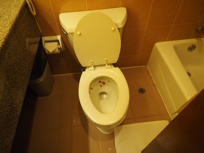 新疆信達海徳酒店 (新疆海徳酒店) (Hot Tak Hotel Xinjiang) の体験記と写真:画像17