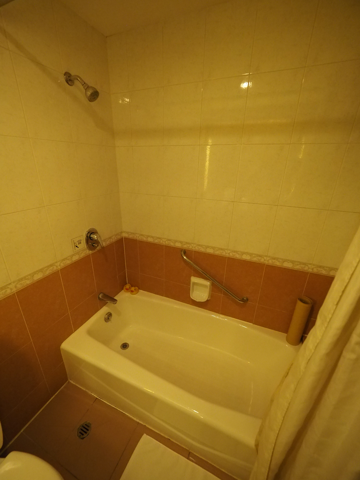 新疆信達海徳酒店 (新疆海徳酒店) (Hot Tak Hotel Xinjiang) の体験記と写真:画像15