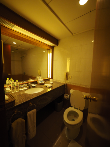 新疆信達海徳酒店 (新疆海徳酒店) (Hot Tak Hotel Xinjiang) の体験記と写真:画像14
