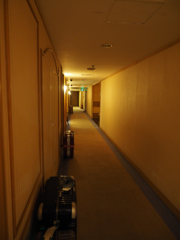 新疆信達海徳酒店 (新疆海徳酒店) (Hot Tak Hotel Xinjiang) の体験記と写真:画像8