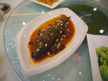 新疆信達海徳酒店 (新疆海徳酒店) (Hot Tak Hotel Xinjiang) の体験記と写真:画像50