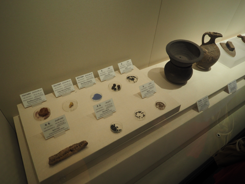 新疆維吾爾自治区博物館 の体験記と写真:画像15