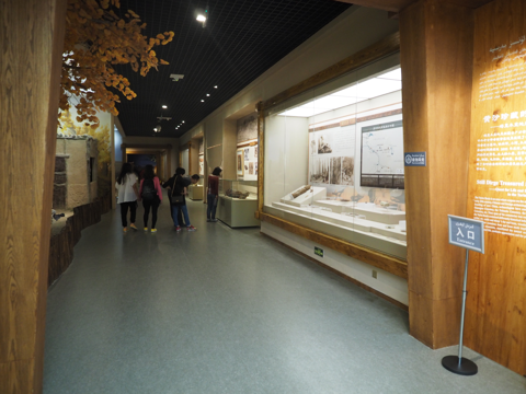 新疆維吾爾自治区博物館 の体験記と写真:画像25