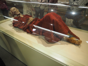 新疆維吾爾自治区博物館 の体験記と写真:画像28